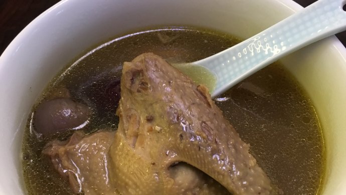 炖鸽子