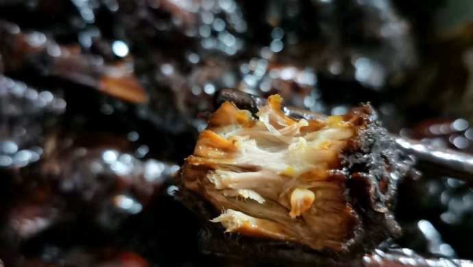 网红卤鸭脖