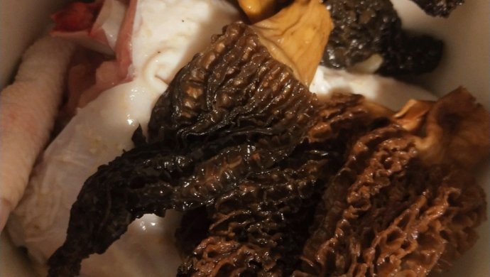 鳕鱼胶羊肚菌鸡腿肉炖汤