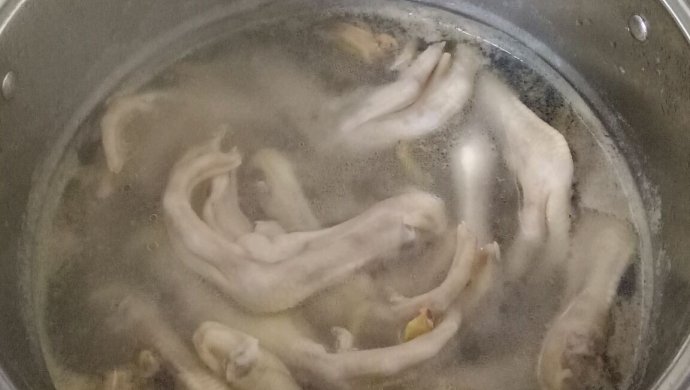 卤水鸭脚