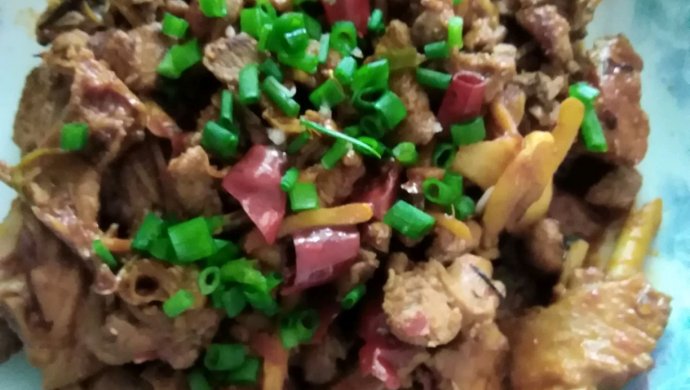 卤煮红烧鸭肉