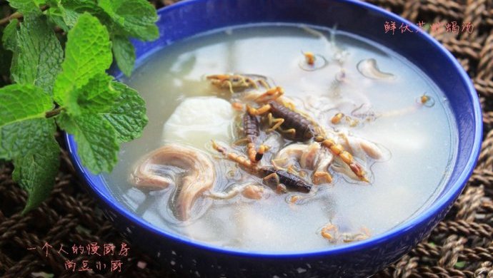 鲜伏芩蛇蝎汤