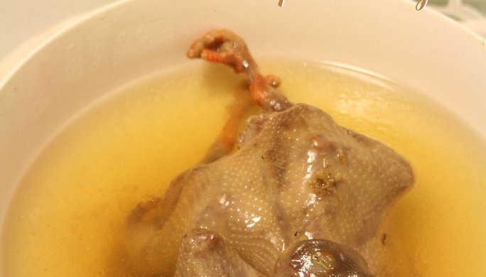 田七鸽子汤