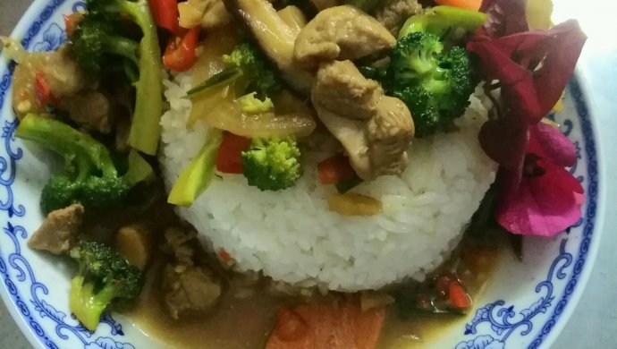 鸭肉盖浇饭