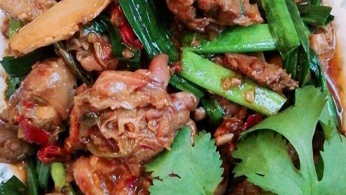 红烧鸭肉