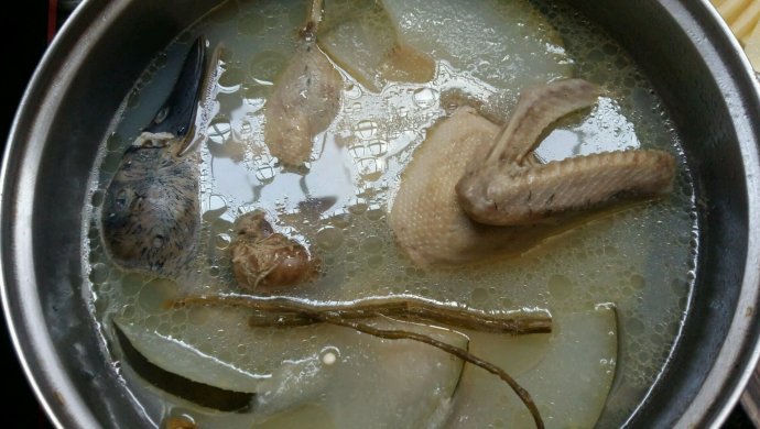 冬瓜石斛水鸭汤