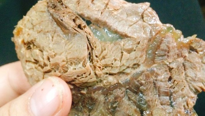 ?水牛腱