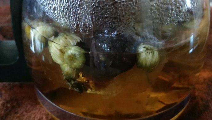 清热润肺菊花茶