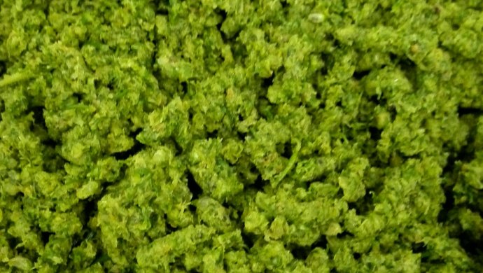 韭菜花酱-源自呼伦贝尔大自然的礼物