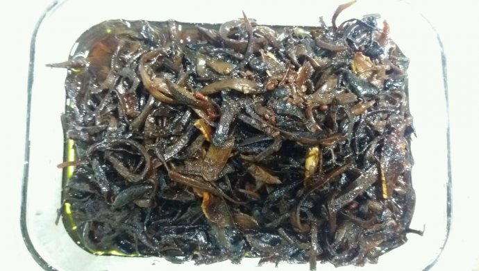 油浸茶树菇