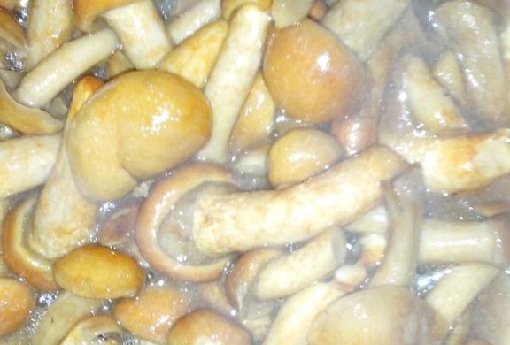 清炒滑菇