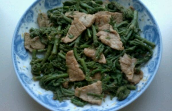 刺老芽炒肉