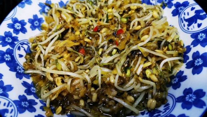 自制绿豆芽炒香辣雪菜