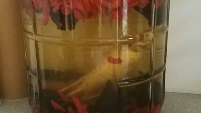 人参药酒