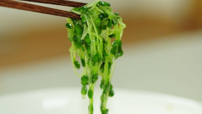 一食半刻 | 春天种萝卜苗――凉拌萝卜苗