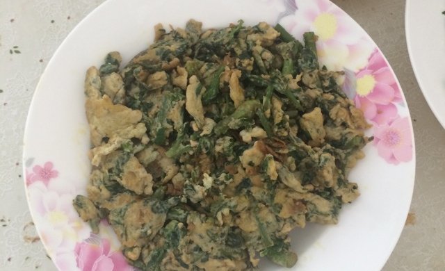 刺老芽煎蛋