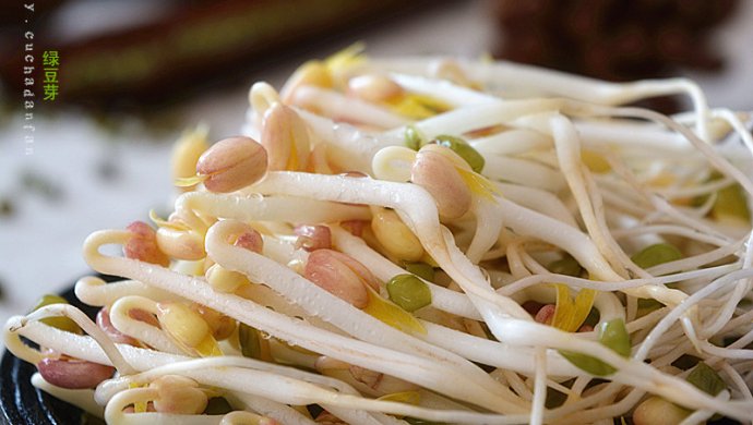 自制绿豆芽