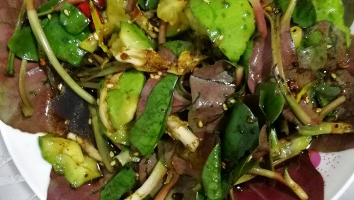 鱼腥草醉黄瓜