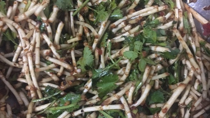 凉拌折耳根(麻辣重庆)
