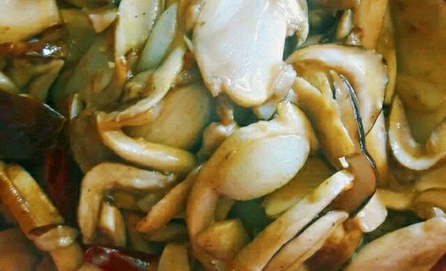 干椒颐松茸（种植）