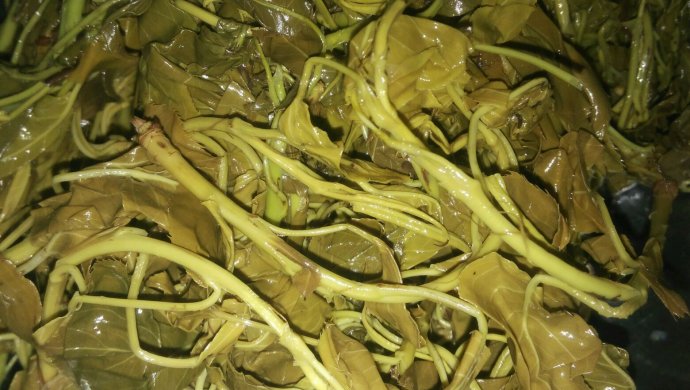 农家土菜一嫩芽沾酱
