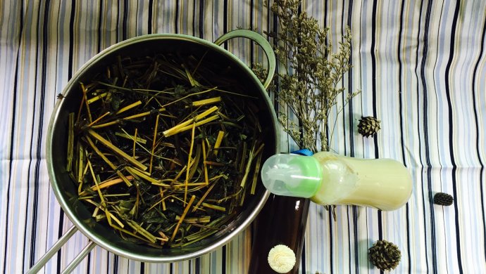 鬼针草奶茶