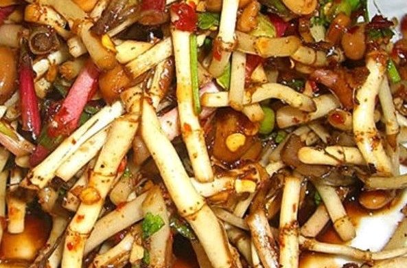 吃了还想吃的折耳根