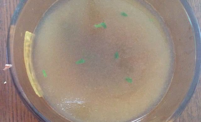 鸽子两吃之一羊肚菌鸽子汤