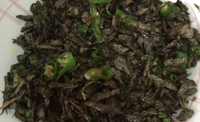 炒干巴菌