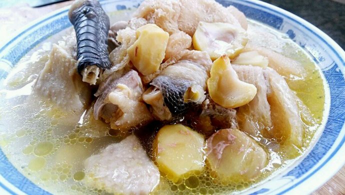 爱厨房之一一板栗、竹荪炖土鸡