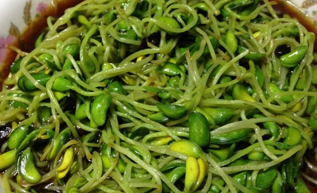 家常清炒黑豆芽