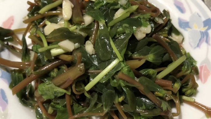 马齿苋拌菜