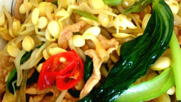 肉丝黄豆芽粉条