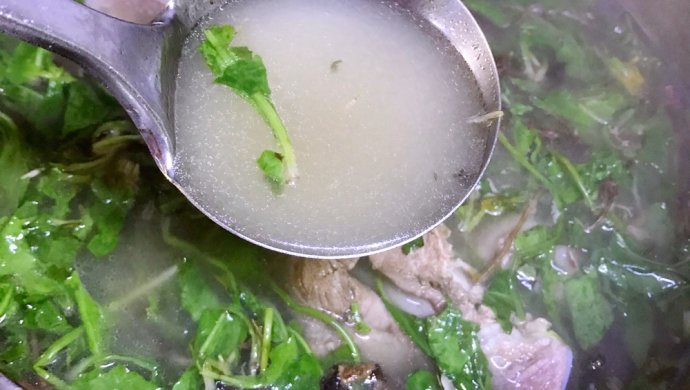 蒲公英炖骨头汤