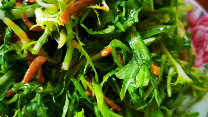 肉丝苦菊