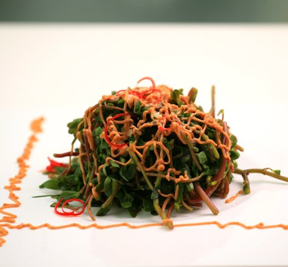 蒜蓉麻酱马齿菜