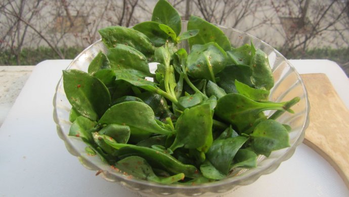 清明食春色――清热解毒爽口凉拌穿心莲