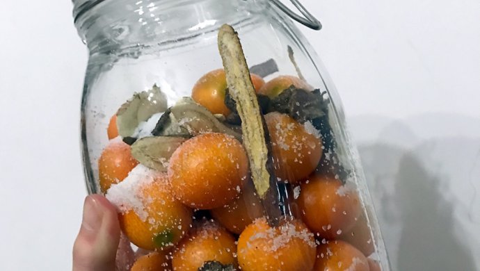 广式腌金桔