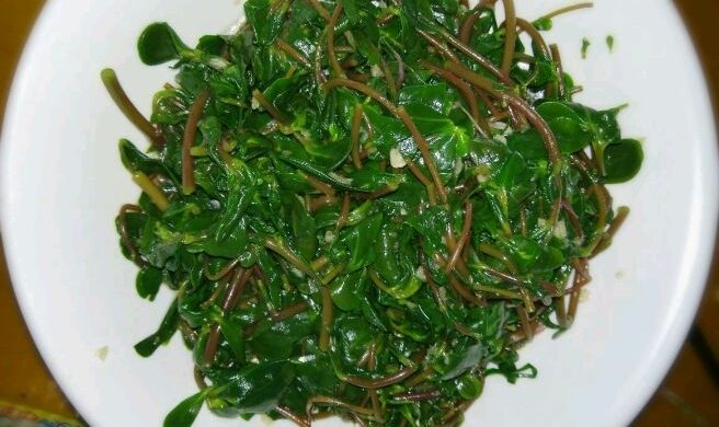 凉拌马齿苋(野菜)