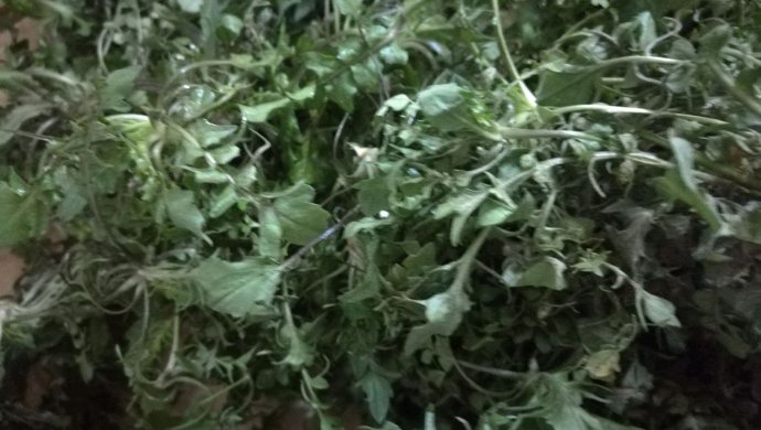 野菜疙瘩