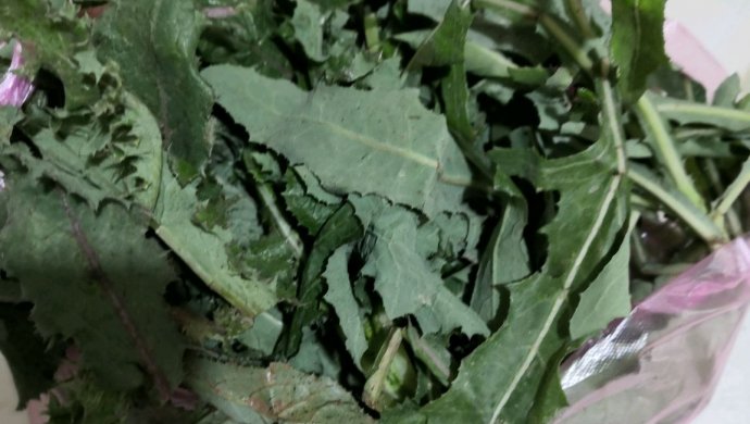 蒲公英馅饺子