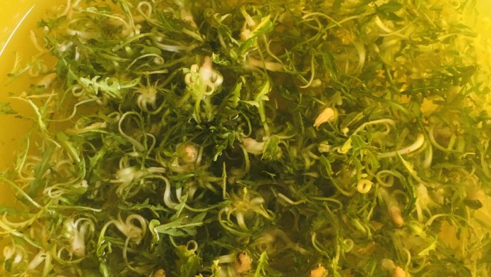 蒲公英饺子