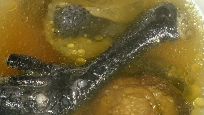 灵芝炖乌鸡
