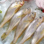 【黄鱼的营养价值】黄鱼怎么做好吃_黄鱼的家常做法