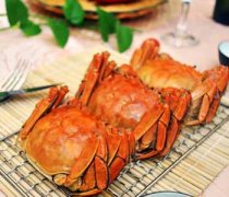【清蒸大闸蟹是哪个地方的菜】清蒸大闸蟹的做法_清蒸大闸蟹的营养价