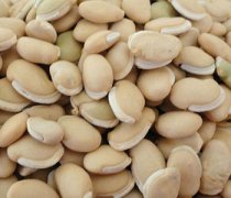 【白扁豆】白扁豆的功效与作用及食用方法_白扁豆的做法