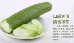 丝瓜的24种功效与作用附食疗偏方