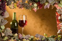 葡萄的营养价值及功效,葡萄酒的酿制方法